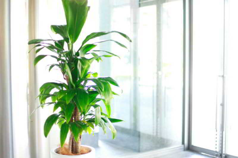 Kkr Hotel Hakata Fukuoka  Dış mekan fotoğraf